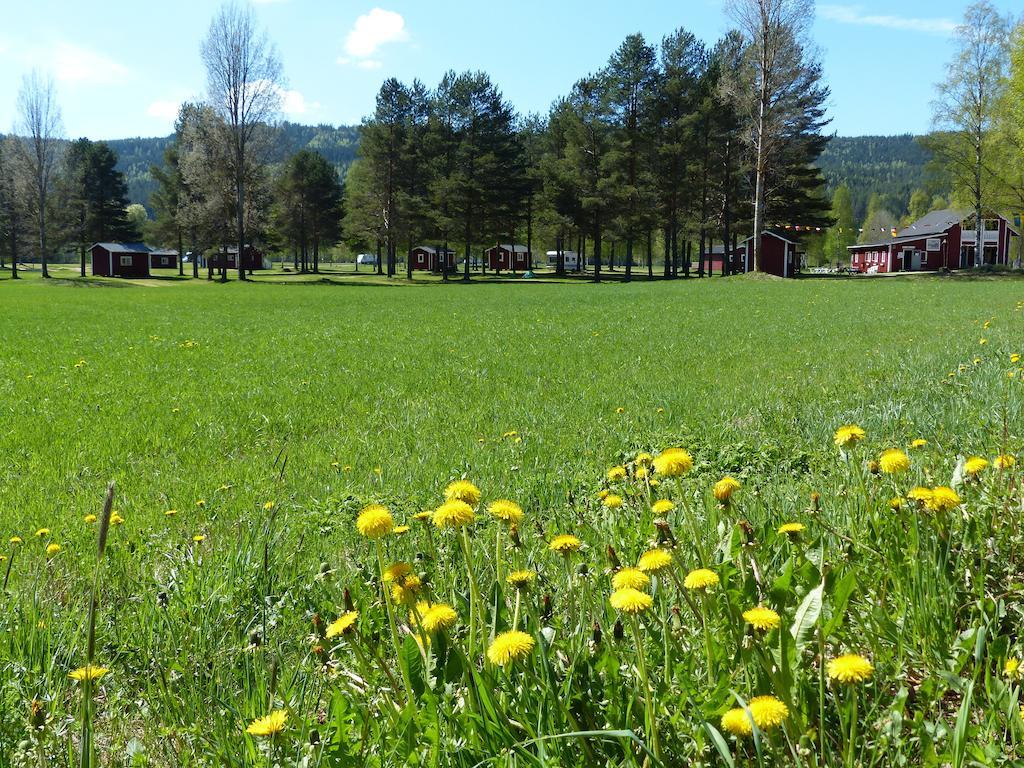 Bjoerkebo Camping Stollet Экстерьер фото