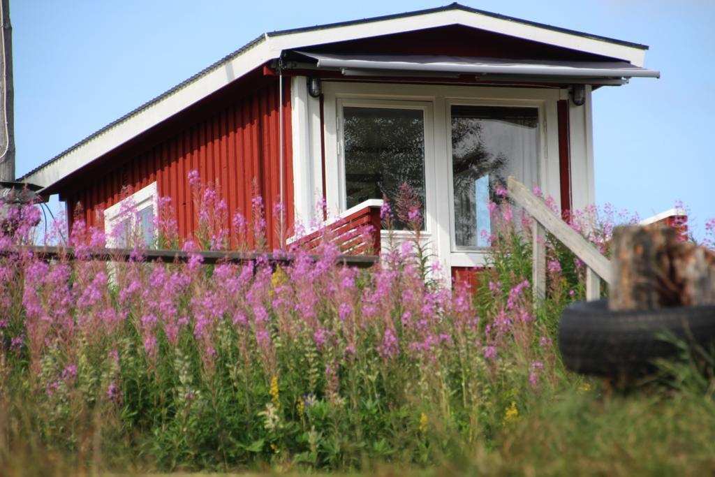 Bjoerkebo Camping Stollet Экстерьер фото